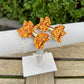 Baby Dolly Classic Glitter Bows// Orange