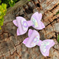 Reversed Purple Floral Mini Imogen Bows