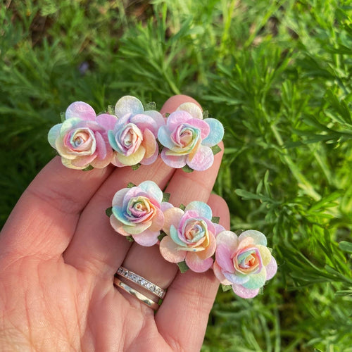 Pastel Rainbow Mulberry Flowers